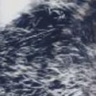 La ardilla vive con la joven desde hace cuatro años. No la mantiene encerrada en una jaula.