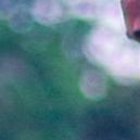 El tricampeón millonario se puso a las órdenes de Miguel Rondelli este miércoles 14 de diciembre, luego de firmar por dos temporadas con el Bombillo.