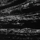 Cuando ingresó a la Cueva de los Tayos, Álvaro Cantos vio una culebra albina no venenosa, un espécimen que es raro de encontrar.