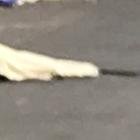 Este jueves, en el Guasmo, un hombre murió a balazos.