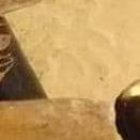 Pescadores capturan un pez remo de 4 metros en Tonsupa