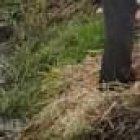 El accidente ocurrió  a las 10:00 de este jueves 2 de febrero de 2023.