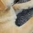 Esta es la foto que tomaron las personas cuando se percataron de que el hombre murió.