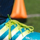 Los mejores deportes para apostar online en Ecuador