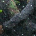 Barcelona ha entrenando en la lluvia en la pretemporada.