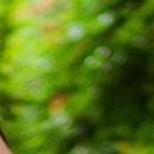 La pareja tiene aproximadamente dos años de relación amorosa.