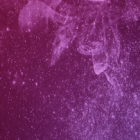 Lo que dice tu signo hoy.