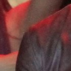 En su edición número 11, contará con el mismo número de exponentes del reguetón. Cuatro todavía están por definirse.