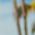 El cantante dice que crear  expectativa en TikTok también ayuda. Fue su primer tema como productor en  solitario.