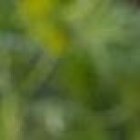 Actualmente participa

en un programa de baile. Dice que su principal rival en la pista es Ángela Orellana.