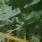 Dentro del camión asesinaron al primer seleccionado porque se negó a bajar. A los otros los dejaron ‘tiesos’ al filo del camino.