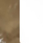 Tres Dedos se radicó desde esta semana en Estados Unidos por proyectos musicales.