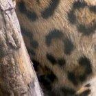 Un sinnúmero de especies puedes apreciar en este lugar.