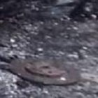 Junto a los cuerpos en llamas estaba un vehículo tipo camioneta, también incinerado.