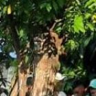 Los lugareños están asustados por el hecho violento, perpetrado el pasado 4 de junio.