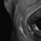 Perro de raza pitbull atacó a un niño, en Quito.