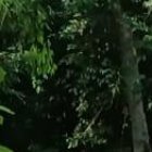 El cuerpo quedó en un camino de tercer orden del recinto Buena Suerte.