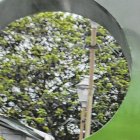 En Quevedo los negocios cierran temprano. Por las noches se observan vías desoladas.