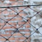 Jóvenes del sector han sido atraídos por este deporte, en San Roque, centro de Quito.