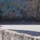 Los animales son examinados por veterinarios para conocer su estado.