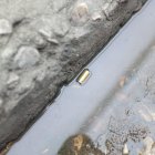 Los casquillos seguían en la escena del crimen, la mañana de este 15 de julio.