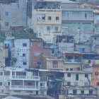 El remo volvió al río Guayas, dándole más vida y mostrando la garra de nuestros deportistas.