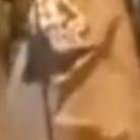 En la parte inferior