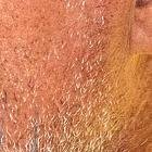 Diego López entrenador de Barcelona va a su tercer partido en LigaPro.