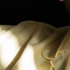 Recientemente, Tres Dedos representó a Ecuador en la pasada
edición del Festival de Viña del Mar 2023, en la Competencia
Categoría Internacional.