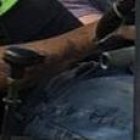 La víctima fue sorprendida en el interior de la maquinaria en la que debía laborar.