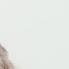 Arreglarse las uñas es parte del cuidado personal.