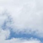 El perrito habría sido torturado.