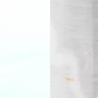 Ámbar Montenegro y Verónica Saltos enfrentadas.