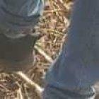 En un sector del cantón Palenque hallaron los huesos de un desaparecido.