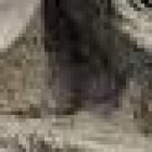 La supuestas momias de Nazca son hechas de goma y elementos vegetales.