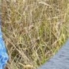 Lugar de hallazgo del cuerpo de José Vintimilla.