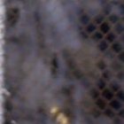 Miller Bolaños sería baja en Emelec, para el encuentro ante la Universidad Católica.