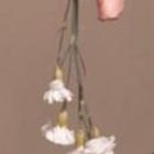 Mare Cevallos contó su íntimo secreto en televisión nacional.