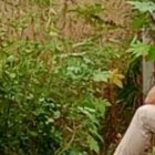 Entre la maleza aparecieron las víctimas, dijo la comunidad.