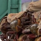 Manuel Beltrán, cangrejero que prefirió no usar ofertas de 'viernes negr' con sus clientes