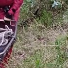 Los restos fueron levantados por miembros de los bomberos.