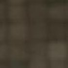 La animadora Virginia Limongi.