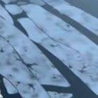 Ken Stornes se autodenomina como 'Vikingo', pues considera que no tiene vértigo ni miedo.