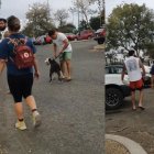 Cuando notan que los graban, los dueños del perro le pusieron la correa.