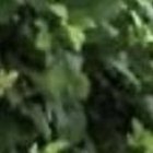 Contextura gruesa. Si tienes mayor medida en la cintura, procura no utilizarlos en tamaños grandes y con hebillas muy gruesas. Si puedes evitarlos, mejor.