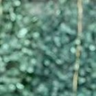 El actor hizo el anuncio de su matrimonio, en un publicación en la red social Instagram