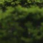 En esta camioneta, personal de Policía persiguió a los supuestos extorsionadores.