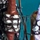 Estos dos altares de la Santa Muerte fueron hayados en sitios donde se reúnen criminales según las autoridades. Luego de la foto, fueron destruidos.