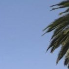 Los dos recorridos se inician en el Centro Histórico y pueden acceder a partes altas para tener una vista panorámica de la ciudad.