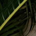 Captura de pantalla del fan que se tatuó el rostro de Karely Ruiz.